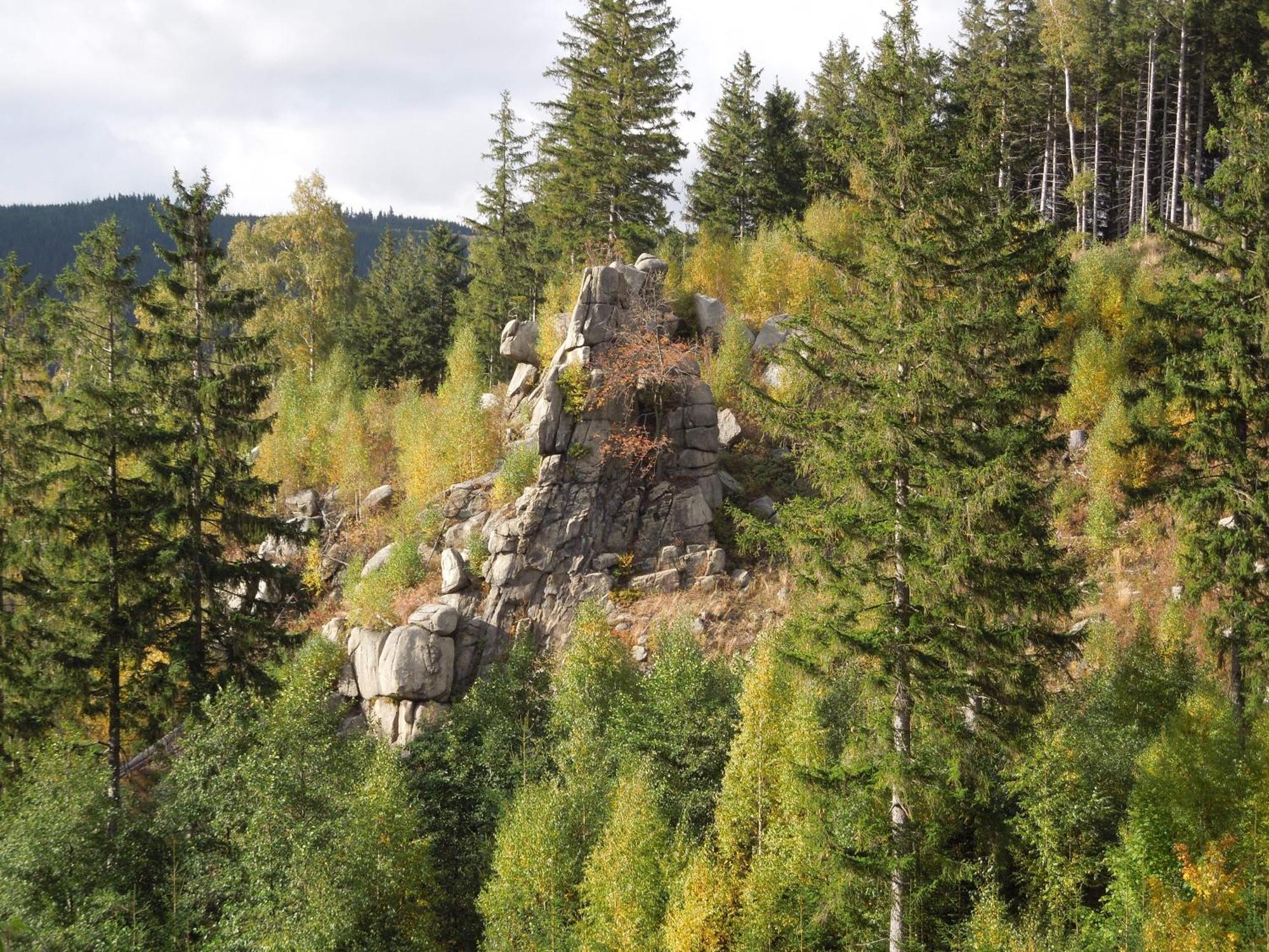 Blockhaus Bodefall Braunlage Luaran gambar