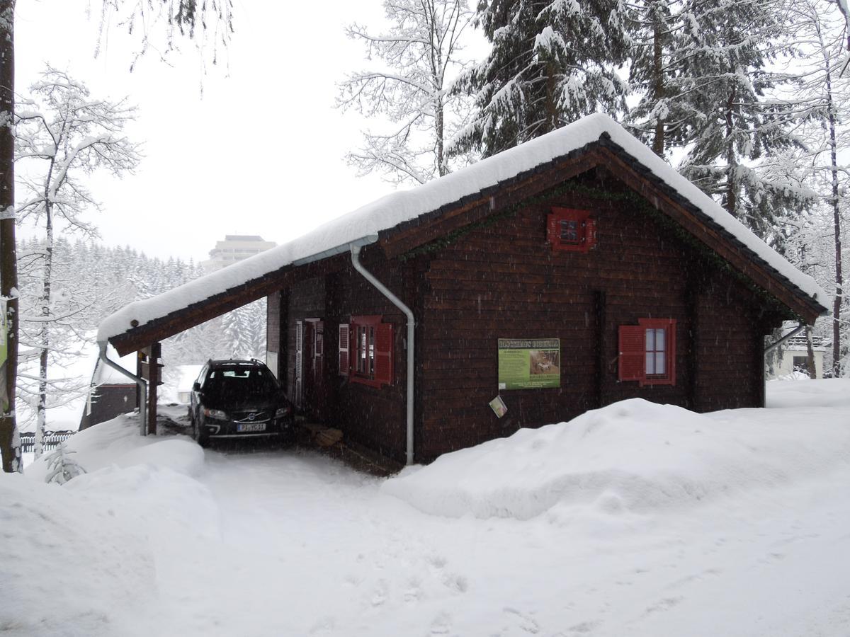 Blockhaus Bodefall Braunlage Luaran gambar